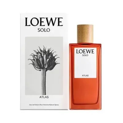 LOEWE SOLO ATLAS