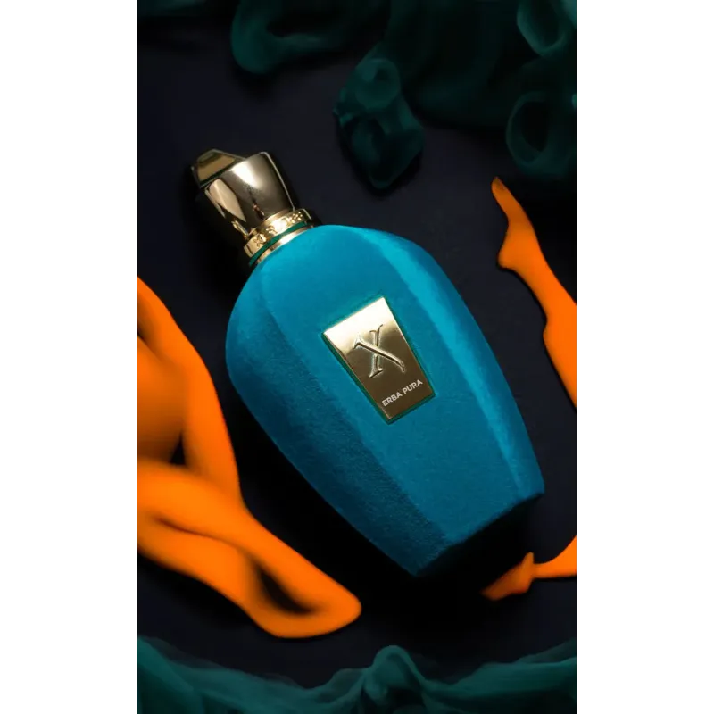 Xerjoff Erba Pura Eau De Parfum 100ml – Perfume Ámbar Xerjoff Erba Pura Eau De Parfum 100ml – Perfume Ámbar