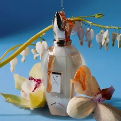 Xerjoff Naxos Eau De Parfum 100ml – Perfume Cítrico Gourmand