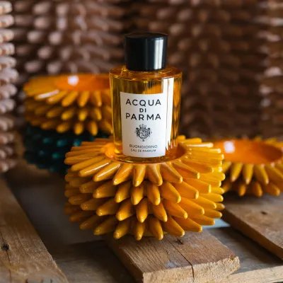 Acqua Di Parma Buongiorno Eau De Parfum 100ml – Perfume Cítrico Aromático