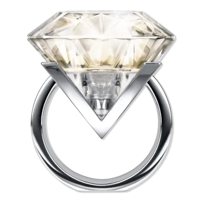 Vera Wang Love Eau De Parfum Eau De Parfum 100ml – Perfume Floral