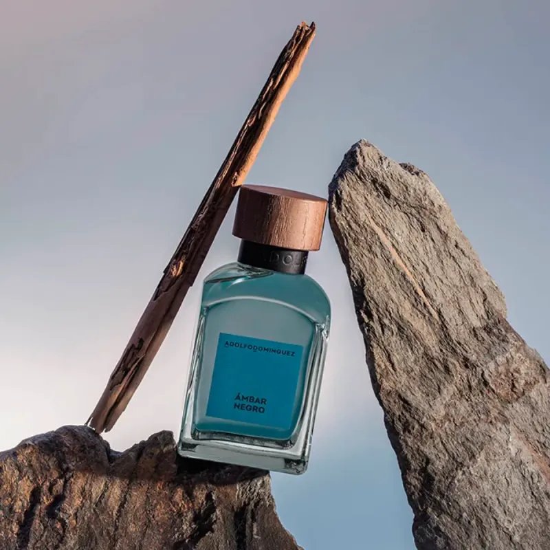 Adolfo Domínguez Ambar Negro Eau De Parfum 120ml – Perfume Oriental Especiado Adolfo Domínguez Ambar Negro Eau De Parfum 120ml – Perfume Oriental Especiado