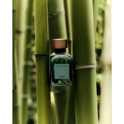 Perfume Adolfo Domínguez Bambú 2024 | Descubre en Gliss Beauty Adolfo Domínguez Bambu 2024 Eau De Parfum 120ml – Perfume Aromático