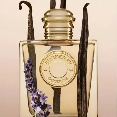 Perfume Burberry Goddess Parfum | Descubre en gliss Beauty Burberry Goddess Parfum Eau De Parfum 100ml – Perfume Oriental Vainillo
