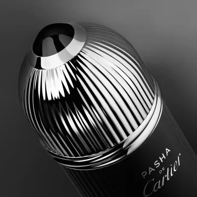 Cartier Pasha Edition Noire Eau De Toilette 100ml  – Perfume Amaderado Aromático