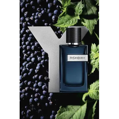 Gliss Beauty | Y EDP Yves Saint Laurent Yves Saint Laurent Y Edp Eau De Parfum 100ml – Perfume Aromático Fougère