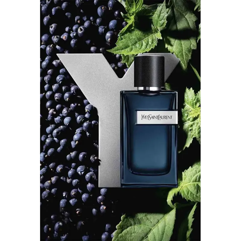 Yves Saint Laurent Y Edp Eau De Parfum 100ml – Perfume Aromático Fougère Yves Saint Laurent Y Edp Eau De Parfum 100ml – Perfume Aromático Fougère