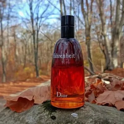 Gliss Beauty | Perfume Dior Fahrenheit Dior Fahrenheit Eau De Toilette 100ml – Perfume Aromático Fougère
