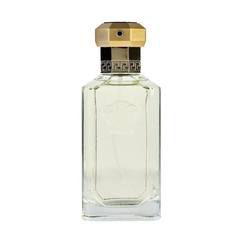 Versace The Dreamer Eau De Parfum 100ml – Perfume Floral Aromático Versace The Dreamer Eau De Parfum 100ml – Perfume Floral Aromático