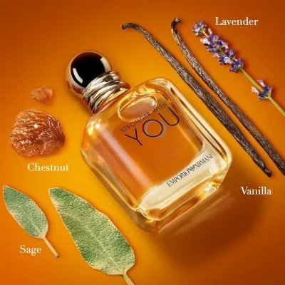 Gliss Beauty | Perfume Giorgio Armani Stronger With You Giorgio Armani Stronger With You Parfum Parfum 100ml – Perfume Aromático Fougère