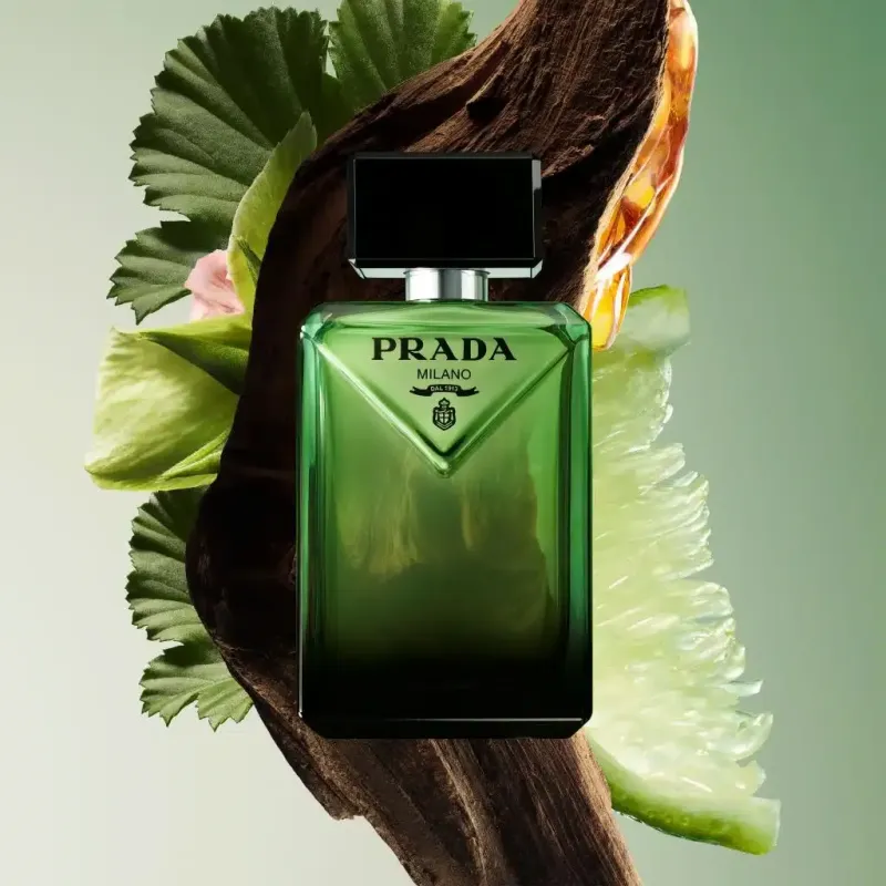 Prada Paradigme Eau De Parfum 100ml – Perfume Oriental Amaderado