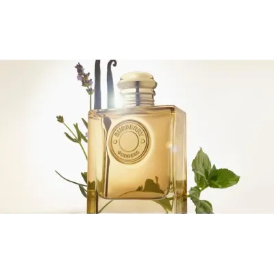 Burberry Goddess Eau De Parfum 100ml – Perfume Aromático