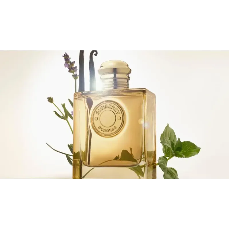 Burberry Goddess Eau De Parfum 100ml – Perfume Aromático