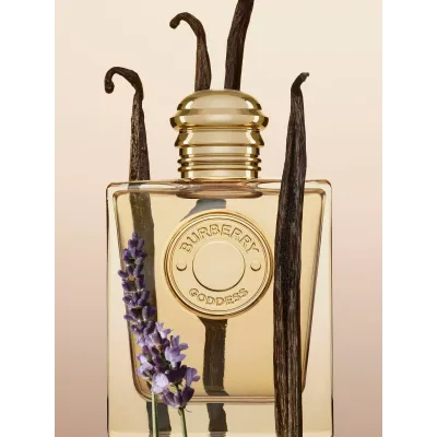 Burberry Goddess Eau De Parfum 100ml – Perfume Aromático