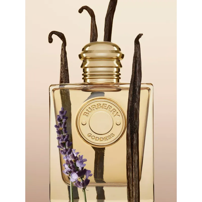 Burberry Goddess Eau De Parfum 100ml – Perfume Aromático
