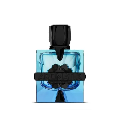 Aromatix X French Avenue Magnetiq Eau De Parfum 100ml – Perfume Amaderado Aromático