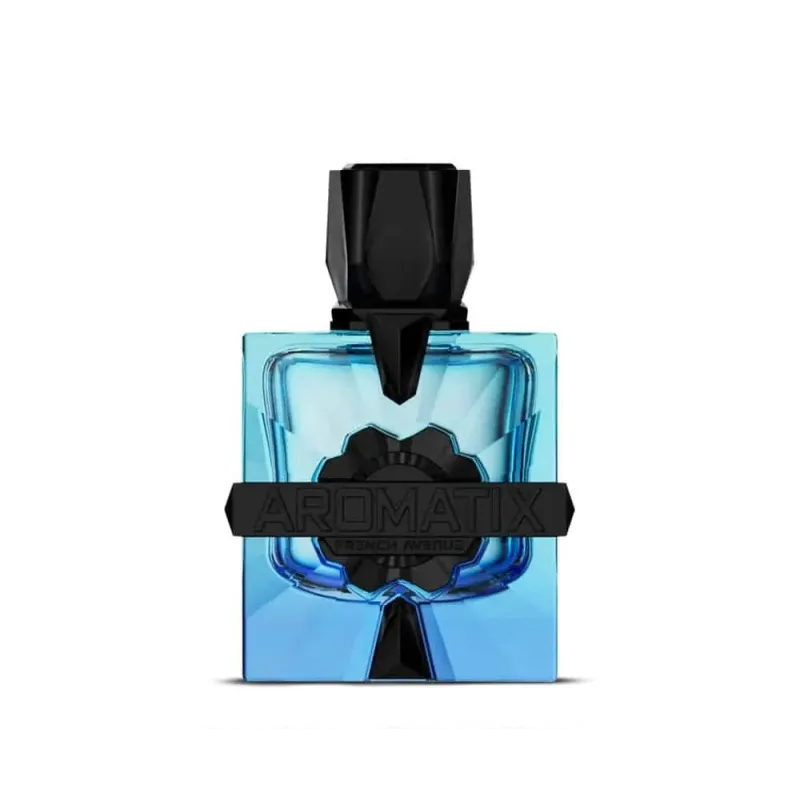 Aromatix X French Avenue Magnetiq Eau De Parfum 100ml – Perfume Amaderado Aromático