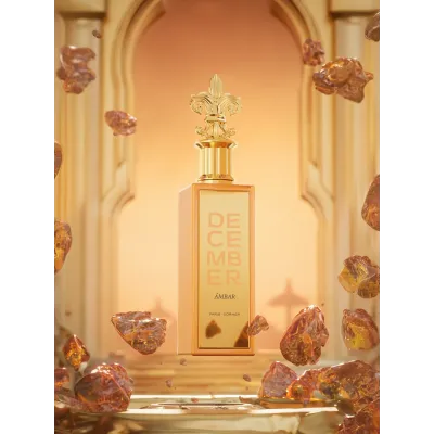 Paris Corner December Ambar Eau De Parfum 100ml – Perfume Oriental Vainillo